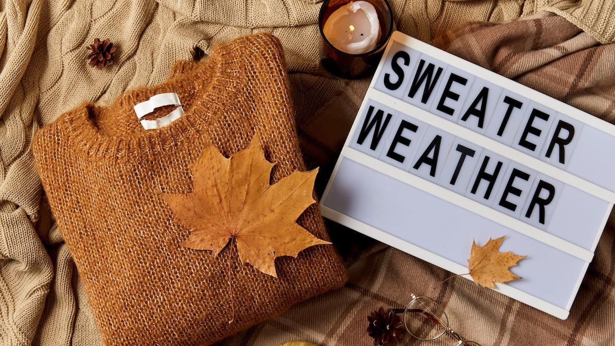 Fall Essentials: Favorites in Clothing, Beauty, & More!